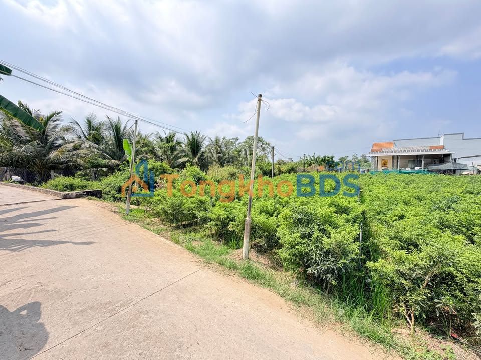 Đất Vườn 1344m² Long Thuận, Tiền Giang - Đường Xe Hơi, Sẵn Nền, Giá 2.6 Tỷ