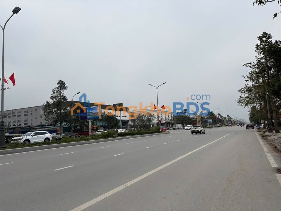 Đất Mặt Tiền Đại Lộ Lê Nin, TP Vinh - 200m², Ngang Rộng 10m, Kinh Doanh Đỉnh Cao