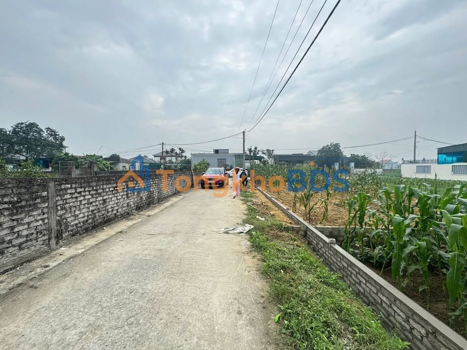 Đất Nghi Phong 74.9m² - Sổ đỏ sẵn sàng, sát khu đấu giá