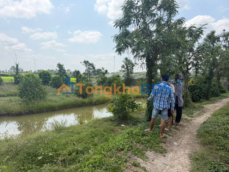 Đất ruộng Thuận Hưng 1.226m² giá 367.74 triệu - Giá đầu tư tốt