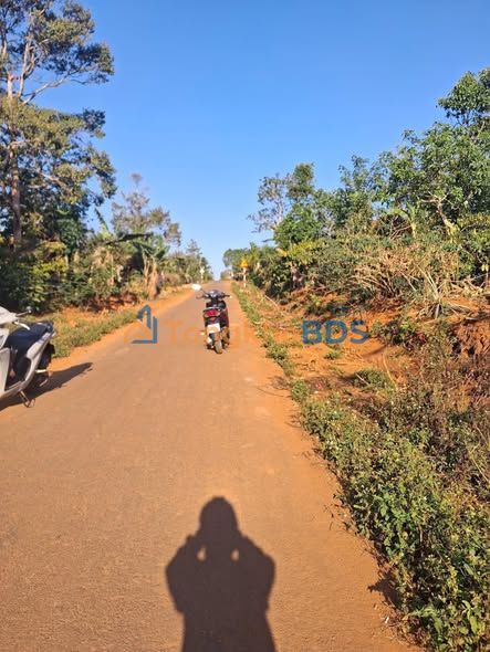 Đất Mai Xuân Thưởng Krông Buk 324m² - Sổ đỏ chính chủ