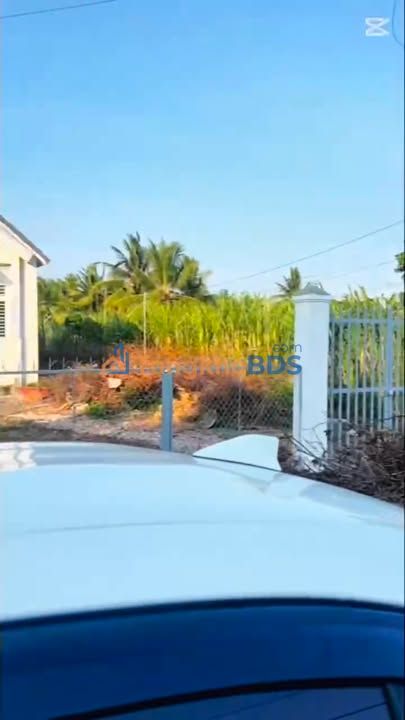 Đất Vườn 1013m² Hưng Phú, Cần Thơ - Tặng Nhà Kiểu Thái Sẵn Sàng Ở Ngay