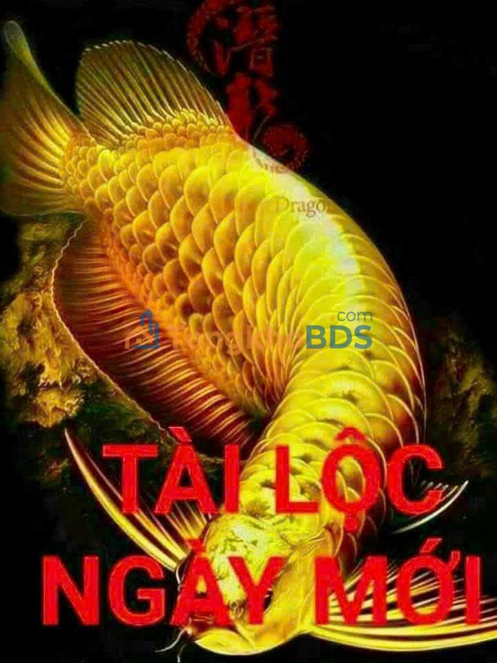 Bán Gấp Nhà Xã Tân Thạnh Đông, Củ Chi 32m² - Giá 700 Triệu