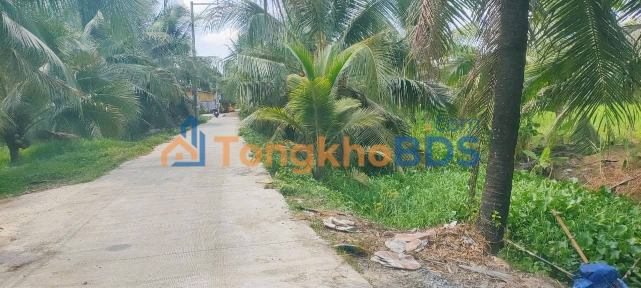 Đất nền Tân Lập 1 Tiền Giang 95m² 980 triệu - Sổ đỏ chính chủ