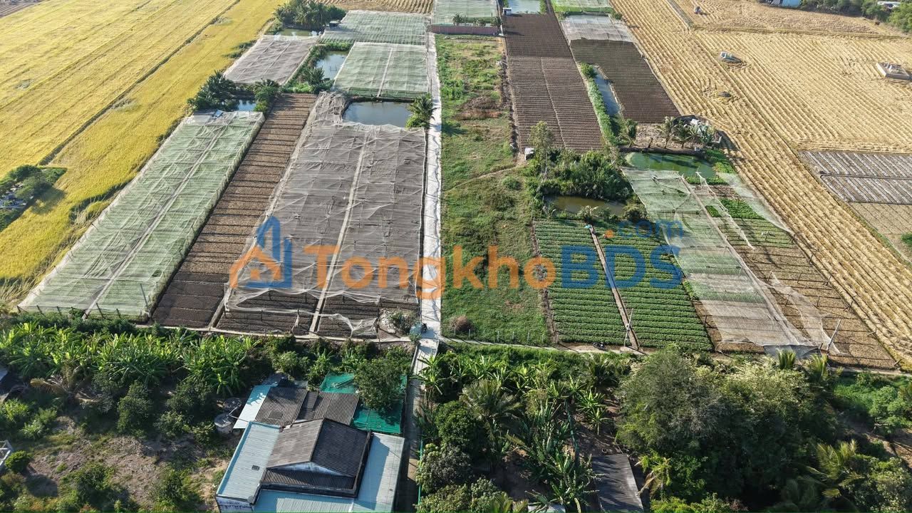 Đất nền Gò Công 100m² 320 triệu - Sổ đỏ chính chủ