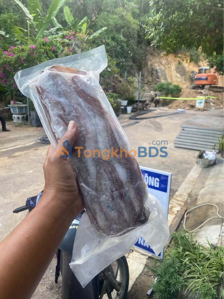 Nhà Nguyễn Thái Học 20 triệu - Mặt tiền kinh doanh