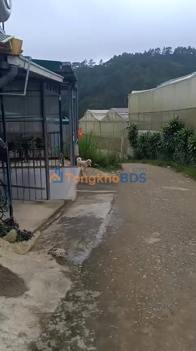 Nhà riêng Langbiang Đà Lạt 85m2 1.3 tỷ - Sẵn sàng ở ngay