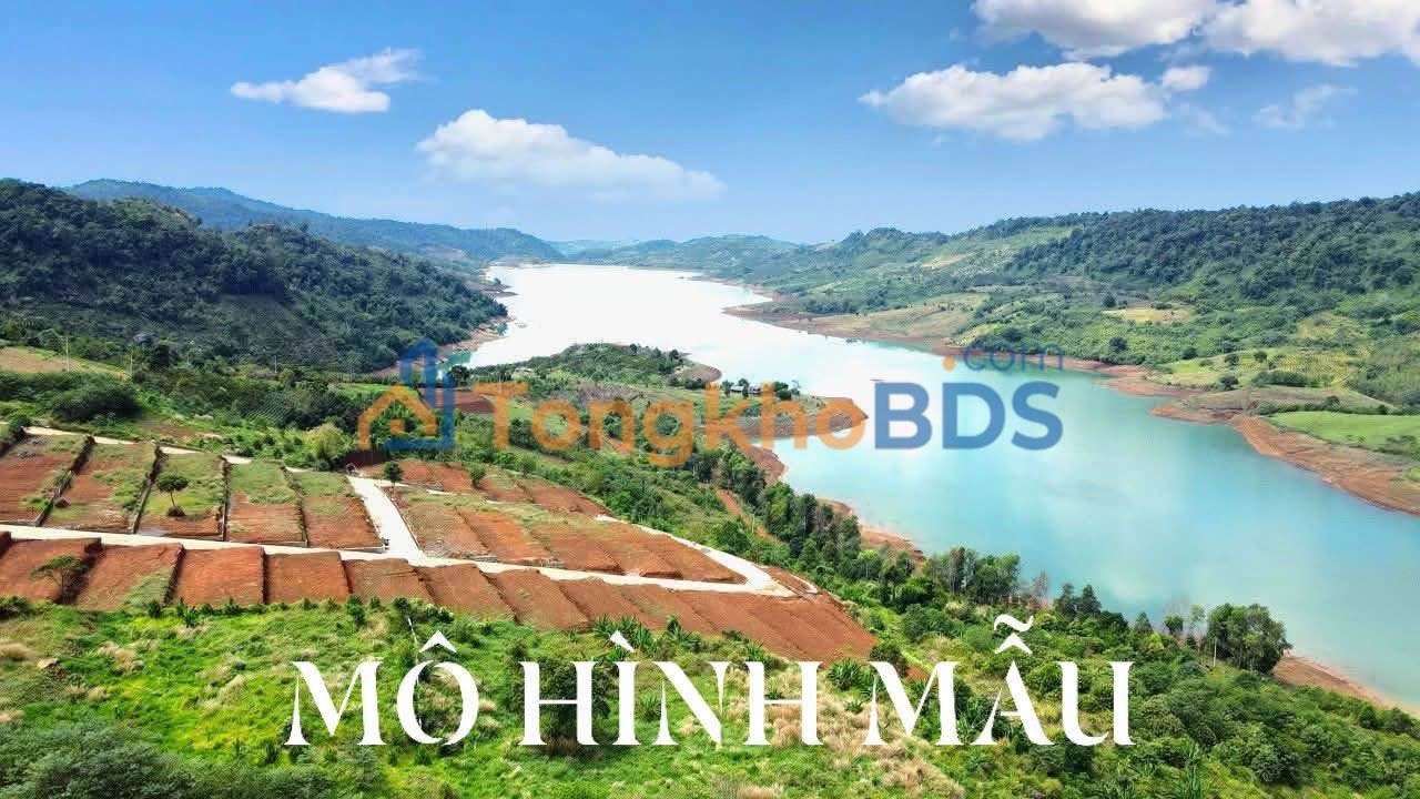 Đất nền Kiến Đức 300m² view đồi thông - Sổ đỏ sẵn sàng, giá 450 triệu