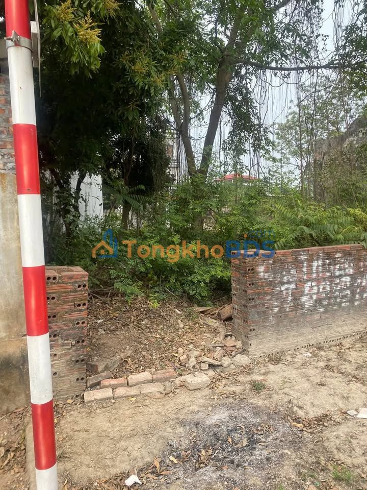 Đất nền Sóc Sơn 159m² giá thỏa thuận - Tiềm năng tăng giá