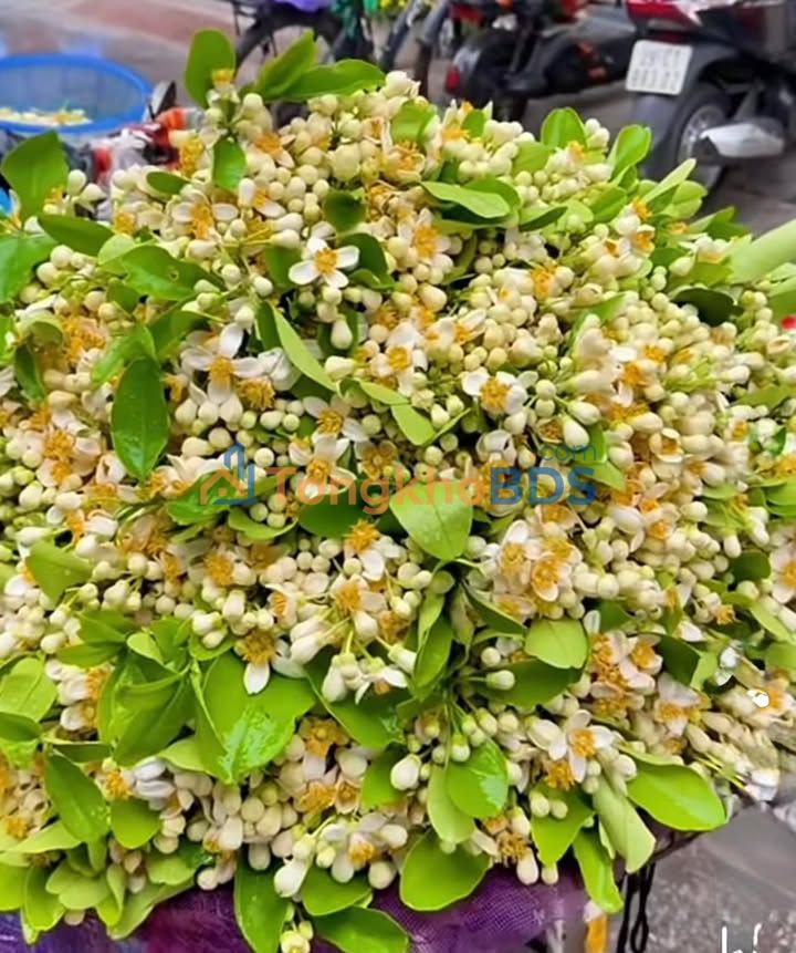 Nhà cho thuê Bình Chánh 72m² 11 triệu - Mặt tiền KD