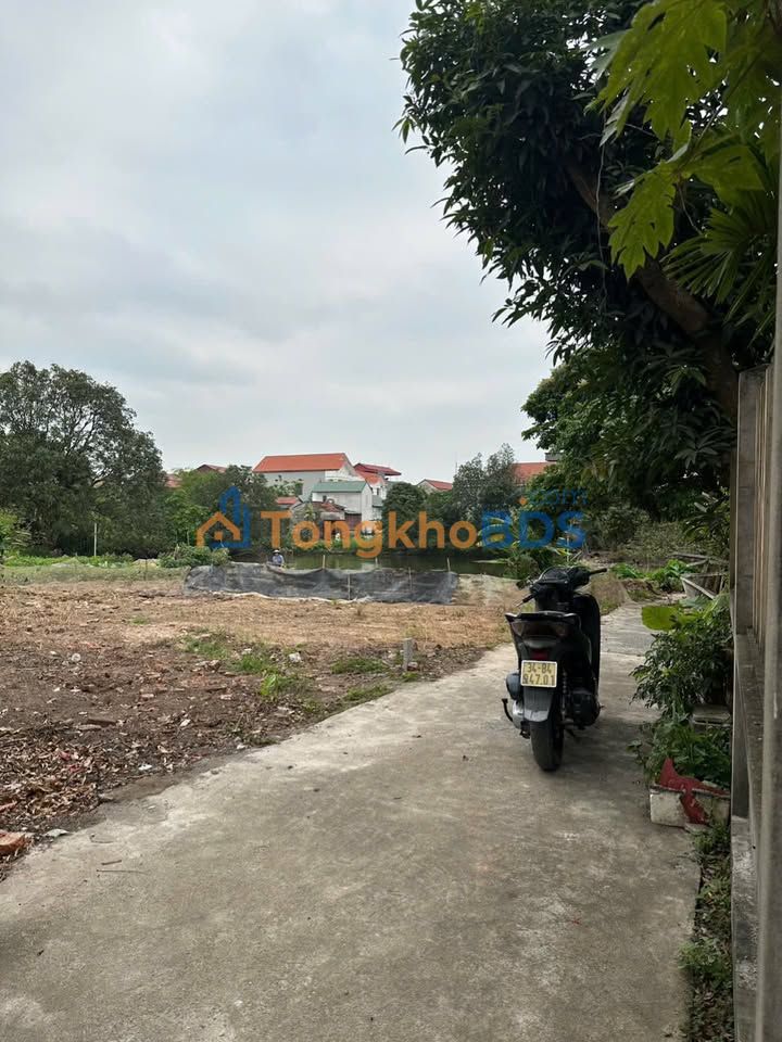 Đất nền Thôn An Lại Cẩm Đông 60m² - Sổ đỏ chính chủ
