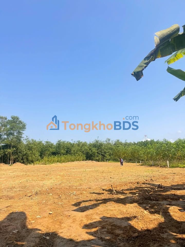 Đất nền Phong Điền Huế 3.300m² 1.25 tỷ - Sổ đỏ chính chủ