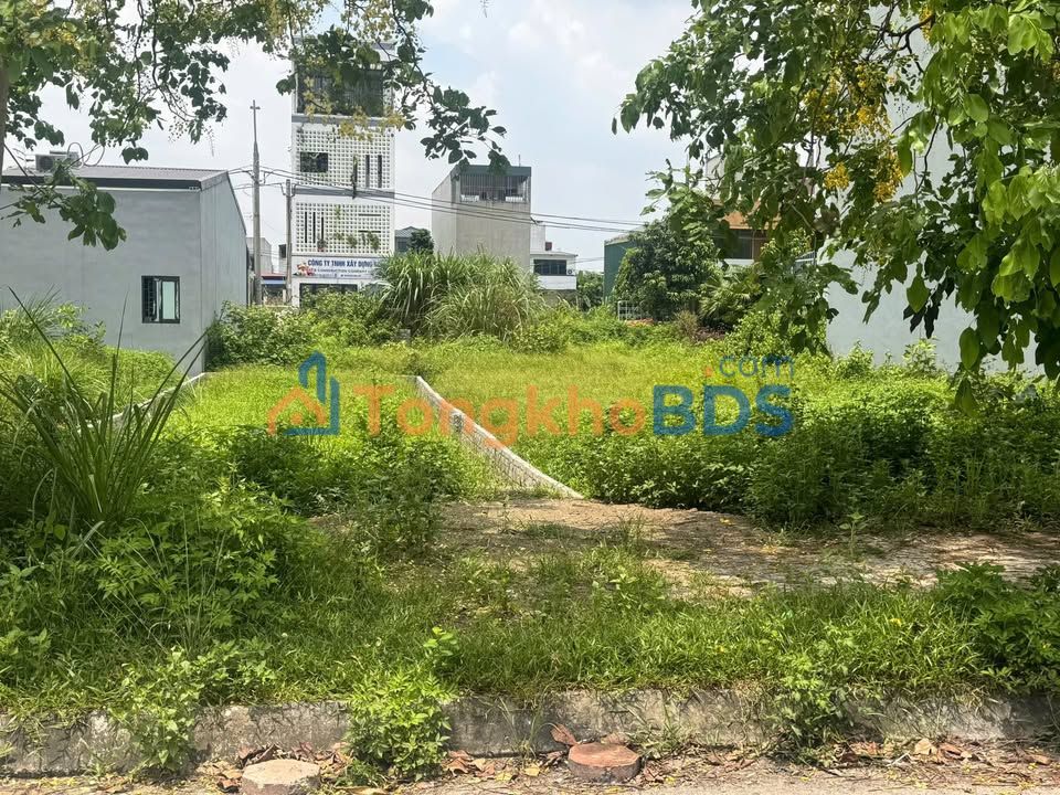 Đất nền Kim Sơn, Ninh Bình 100m² - Sổ đỏ sẵn, vị trí kinh doanh đắc địa