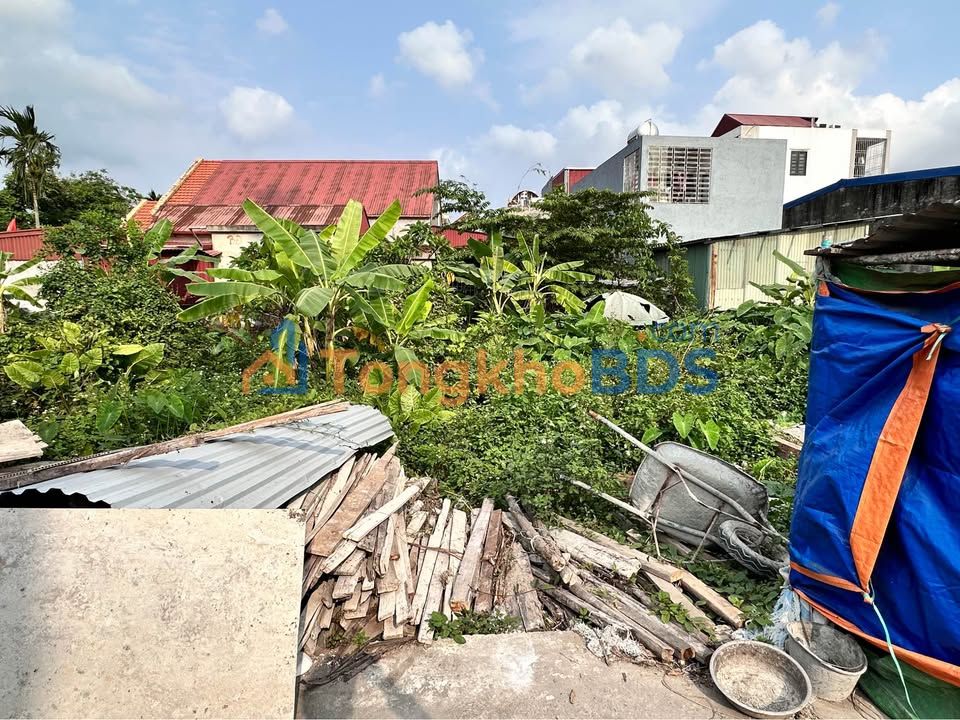 Đất nền An Hải 55m² giá 1.6 tỷ - Giá đầu tư tốt