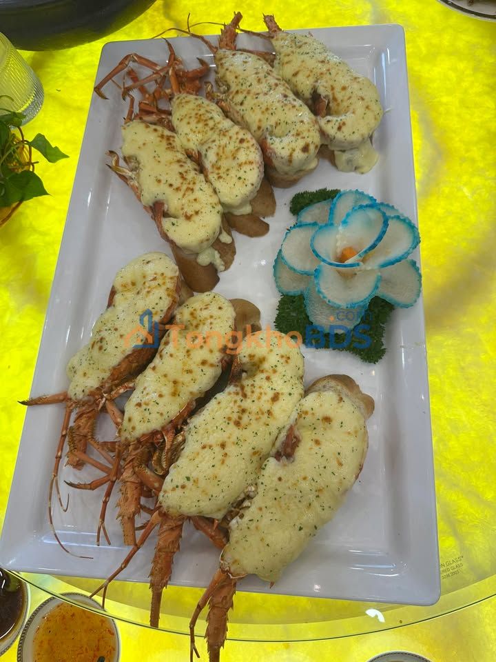 Bắc Giang: Đất nền 100m² giá chỉ từ 3xx triệu, ô tô vào tận nơi