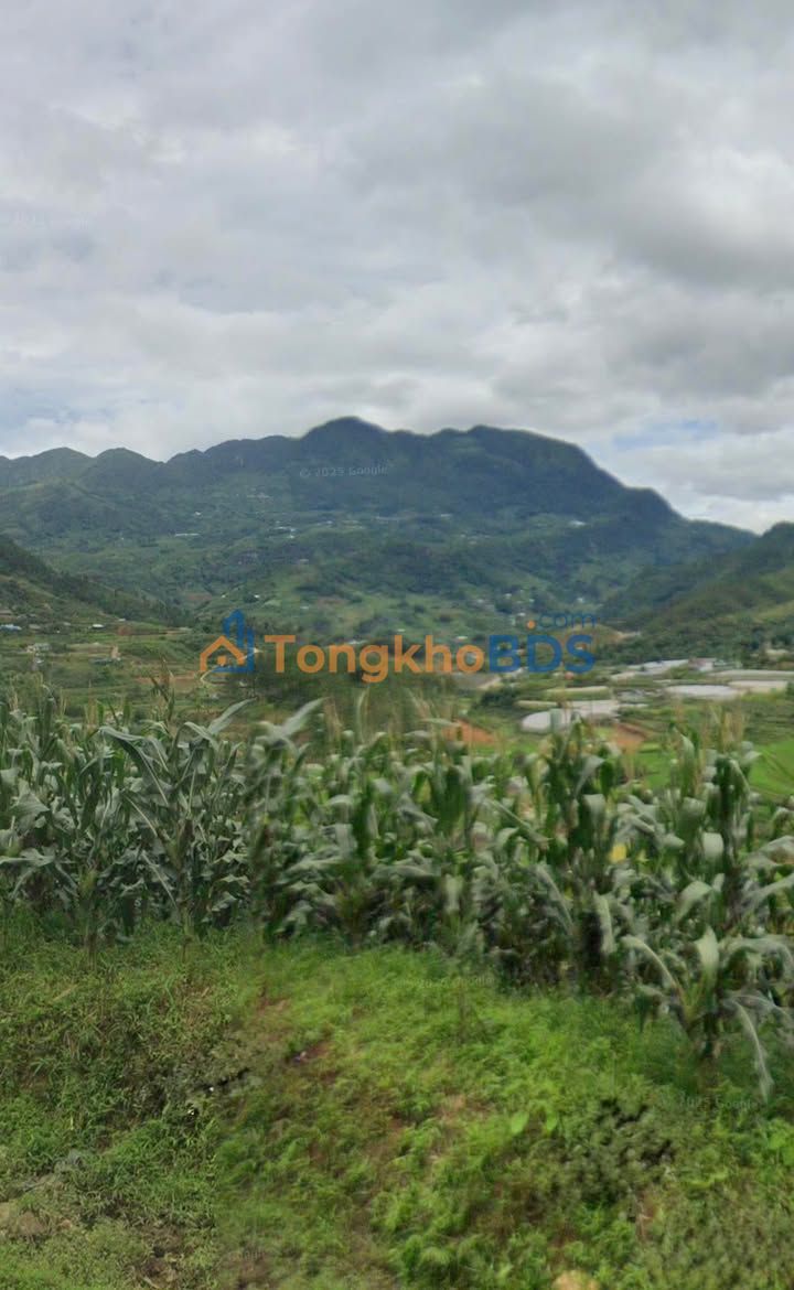 Đất nền Đường tránh 4D Sapa 7 tỷ - Tiềm năng tăng giá