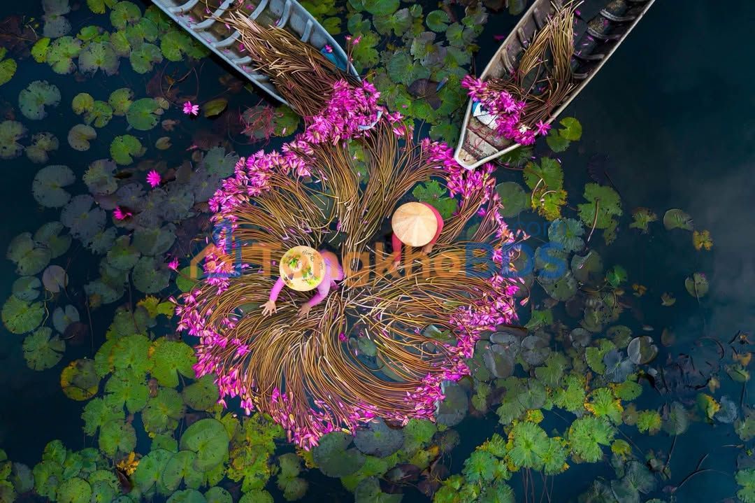 Bán Đất Vàng 193m² TP Thanh Hóa - Kinh Doanh & An Cư Đắc Địa