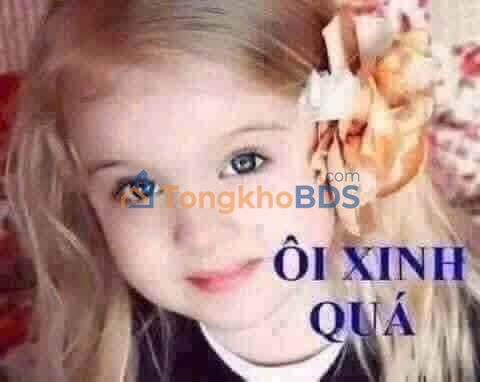 Nhà Mặt Tiền Trần Bình Trọng Quy Nhơn 21m² - Kinh Doanh Đắc Lợi, Sổ Đỏ