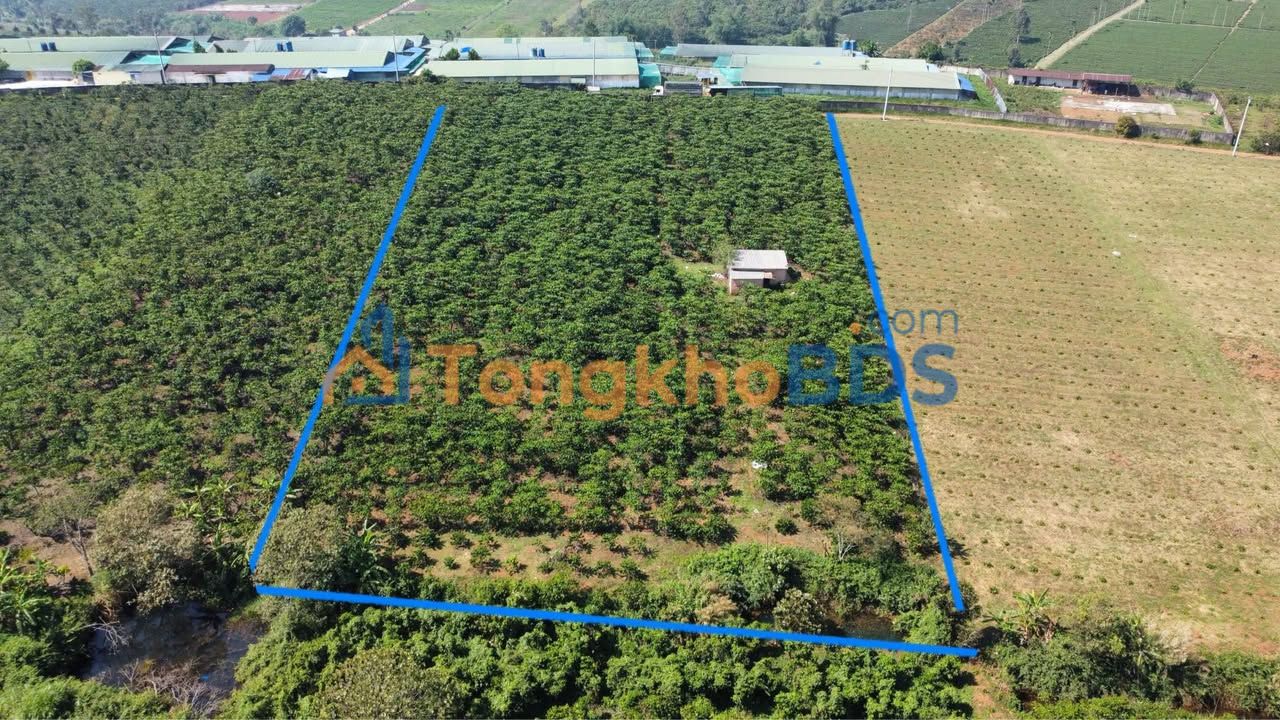 Đất nền Lộc Quảng 2880m² 5.2 tỷ - Tiềm năng tăng giá