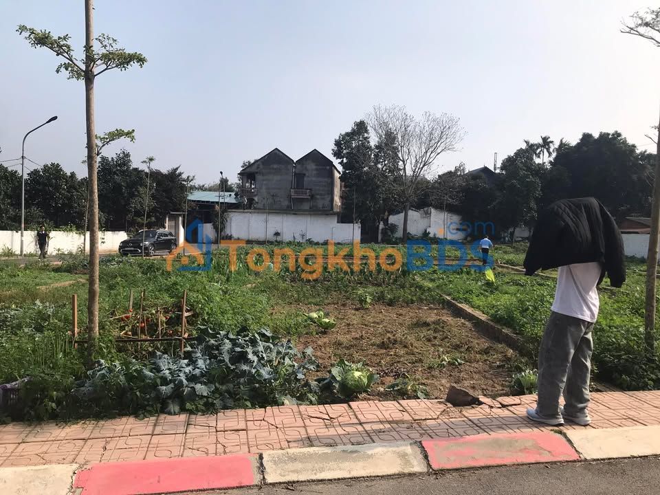 Bán Đất Thổ Cư 95m² Hoà Lạc - Sổ Đỏ Riêng, Gần ĐHQGHN