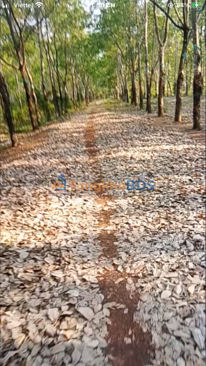 Đất vườn Lộc Thành 48ha 72 tỷ - Sinh thái xanh