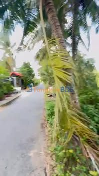 Đất nền Nhị Quý 99m² 700 triệu - Hạ tầng hoàn thiện