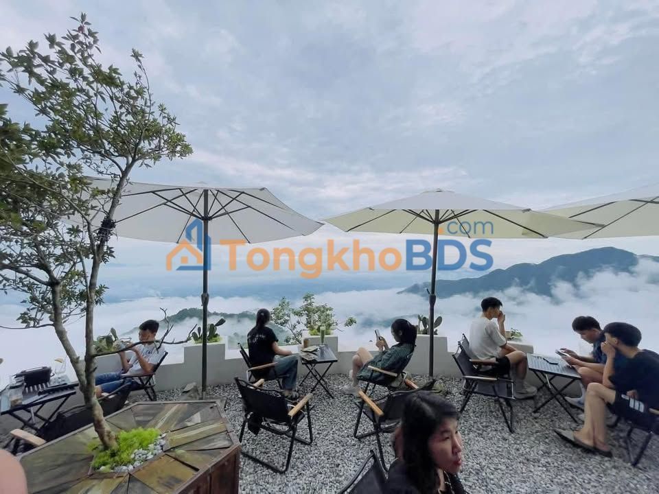 Đất Tặng Nhà Cấp 4 - 280m² Băng 2 TL302 Tam Đảo - Đầu Tư/Ở Ngay