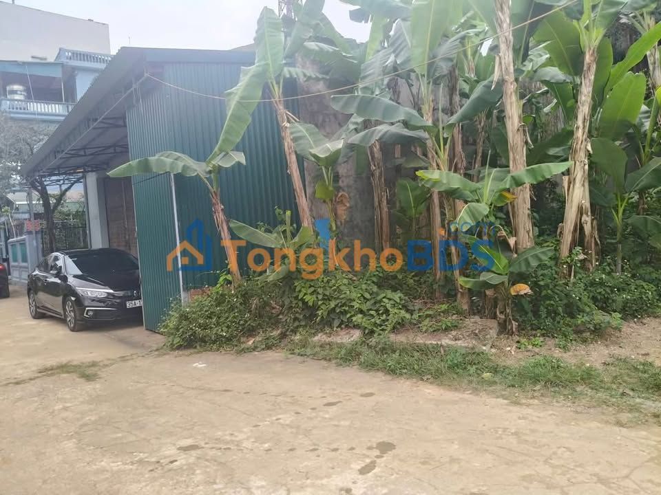 Đất Thị Trấn Nho Quan 66m² - Giá Sốc, Sổ Đỏ Thổ Cư, Ô Tô Vào Nhà