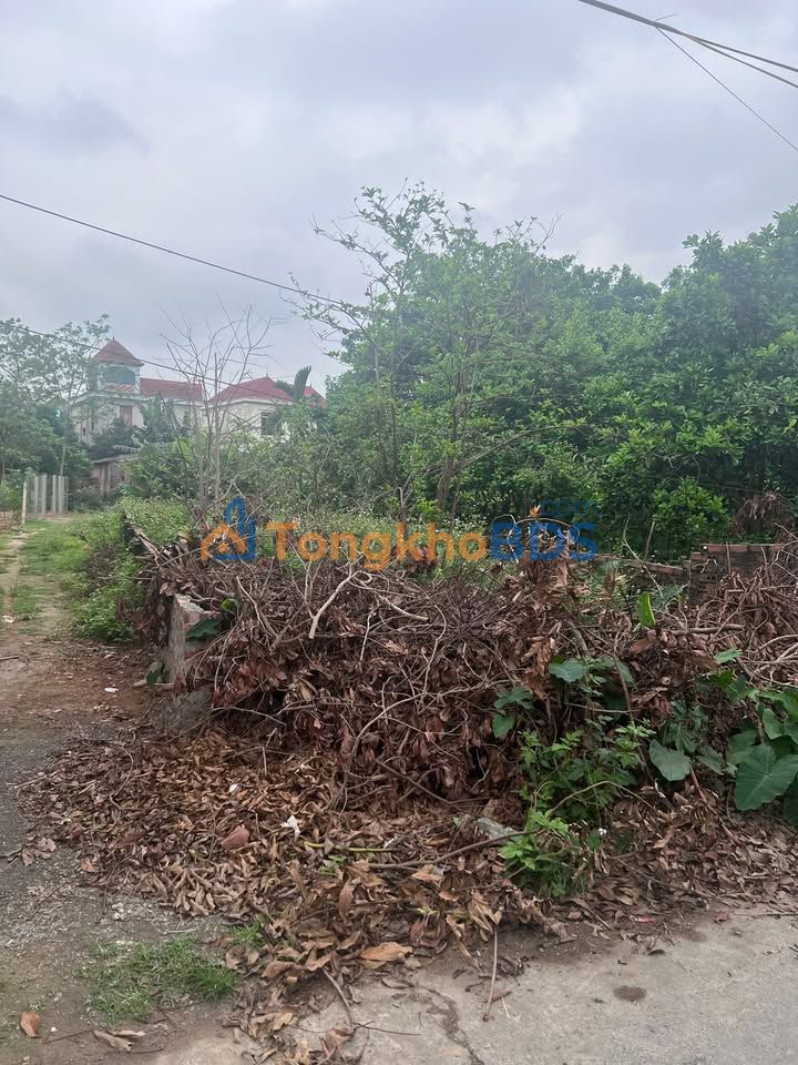 Đất Vàng 50m² Nam Từ Liêm - Vuông vắn, 2 Thoáng, Sát KĐT Viglacera