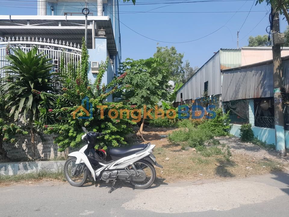 Đất Mặt Tiền Củ Chi 300m² (5x60m) - Sổ Hồng Thổ Cư, Xây Dựng Ngay