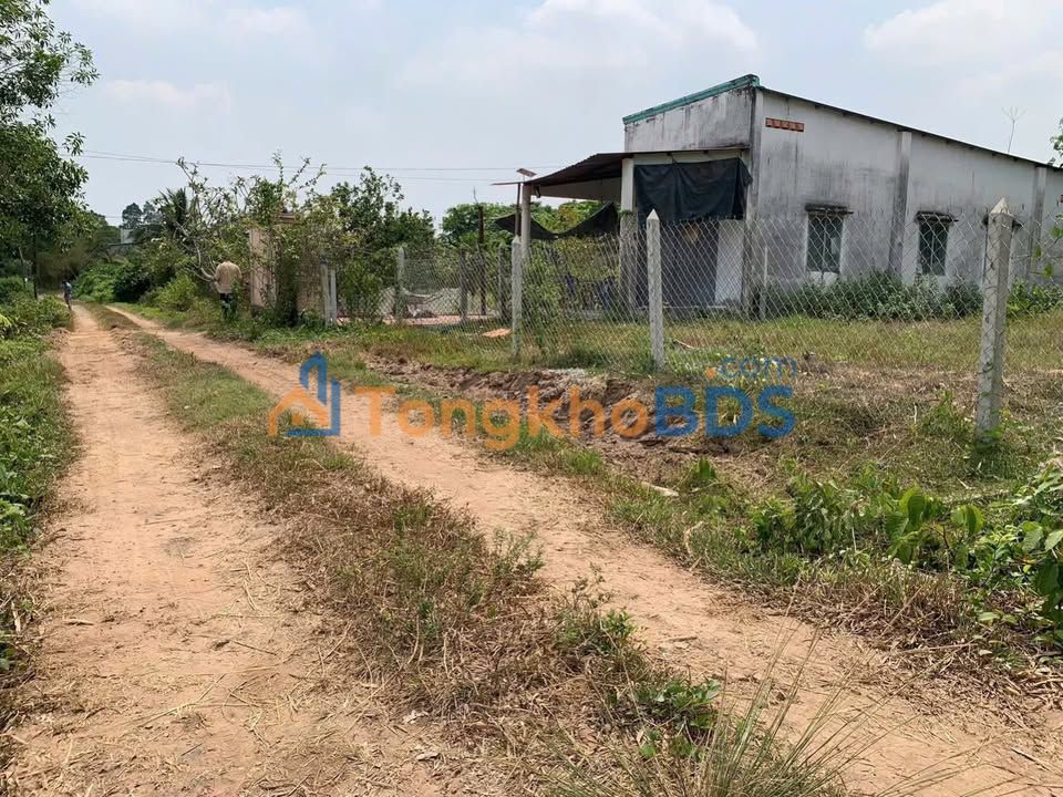 Đất nền Thái Mỹ Củ Chi 479m² giá 1.9 tỷ - Sổ đỏ chính chủ