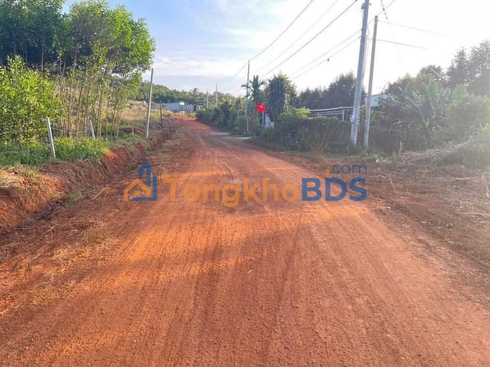 Đất Phường 7 Quận 6 200m² 190tr – Tiềm năng tăng giá