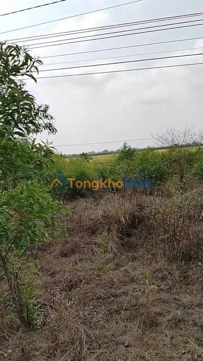 Đất Mộc Hóa Long An 160m² 570 triệu - Sổ đỏ chính chủ