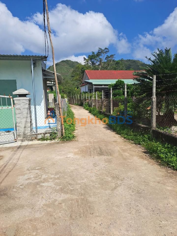 Đất nền Tuy Phước 100m² Sổ hồng - Đầu tư sinh lời