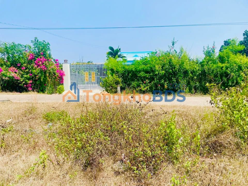 Đất Phú Hòa Định Quán 185m² 389 triệu - Sổ đỏ chính chủ