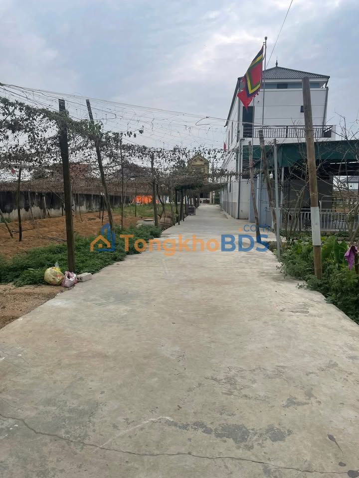 Đất nền Bình Minh Quỳnh Diễn 116m² 1 tỷ - Tiềm năng tăng giá