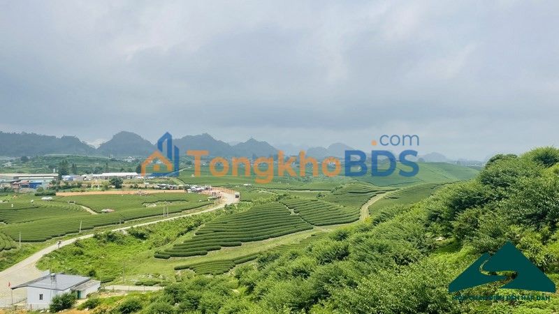 Đất nền Mộc Châu Vân Sơn 125m² 4 tỷ - Sổ đỏ view đồi chè