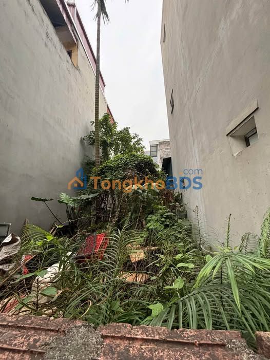 Đất Trâu Quỳ, Gia Lâm 55.3m² - Ô Tô Vào Đất, Cách Mặt Phố 1 Nhà