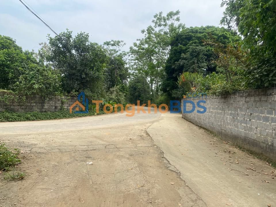 Đất nền Lương Sơn Hòa Bình 4.100m² 5 tỷ - Sổ đỏ chính chủ