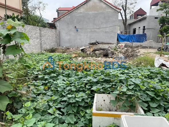 Nhà Mai Đình 76m² - Giá chỉ từ 3 tỷ - Sát KCN Nội Bài, Ô tô tránh