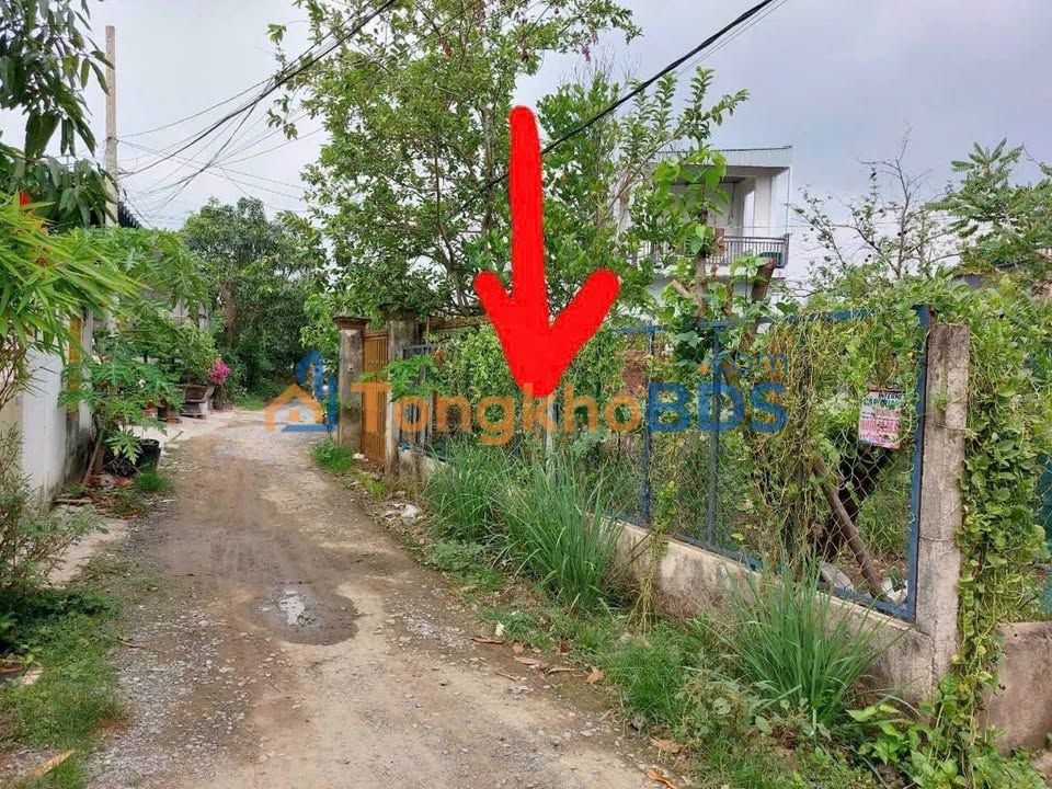 Đất T12 Bình Chánh 240m² 3.7 tỷ - Đường ô tô vào