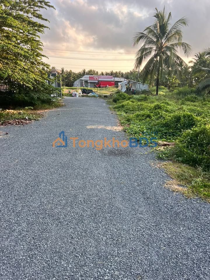 Bán đất thổ cư 168m² Xã Châu Hưng, Bình Đại - Giá 420 Triệu