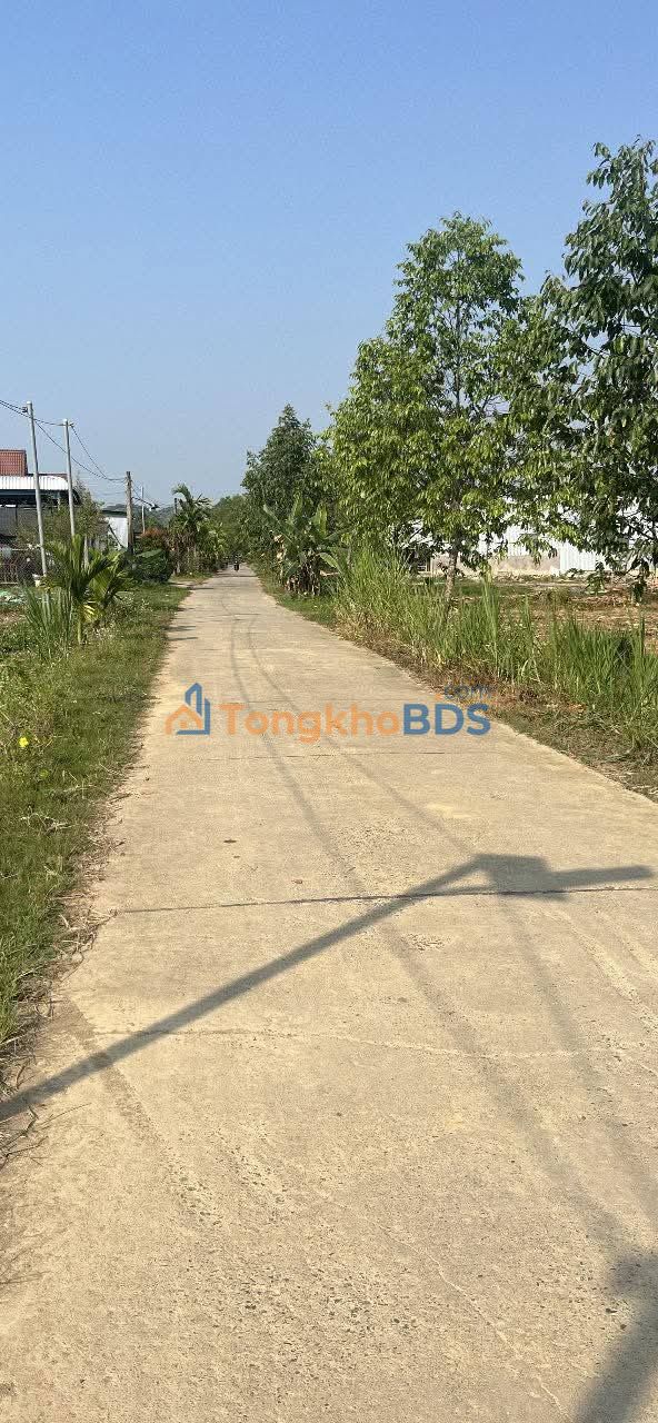 Bán đất 3.6ha mặt tiền đường bê tông Đạ Tẻh, Lâm Đồng - Có sẵn 100m² thổ cư