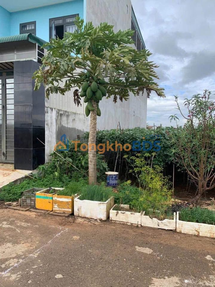 Bán Đất Mặt Tiền Thống Nhất, Đức Trọng - 125m² Full Thổ Cư, Giá 3.2 Tỷ