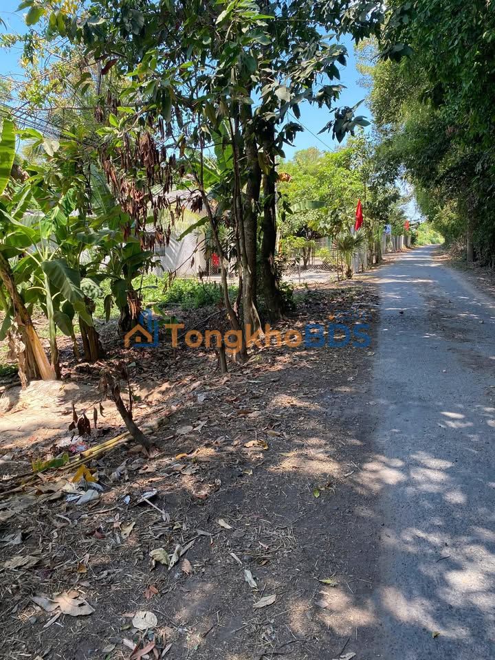 Đất nền Ấp Lạc Sơn Ngũ Lạc 594m² 450 triệu - Sổ đỏ chính chủ