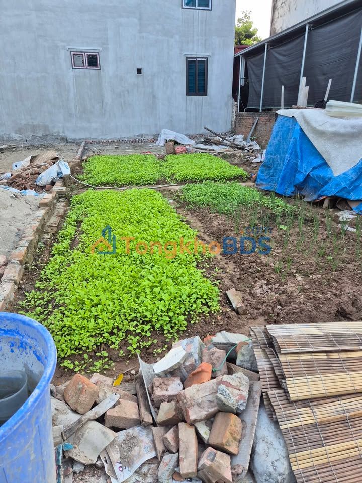 Đất nền Phúc Thọ 80m² sổ đỏ vuông vắn, ô tô vào đất - Giá chỉ từ 4xx triệu