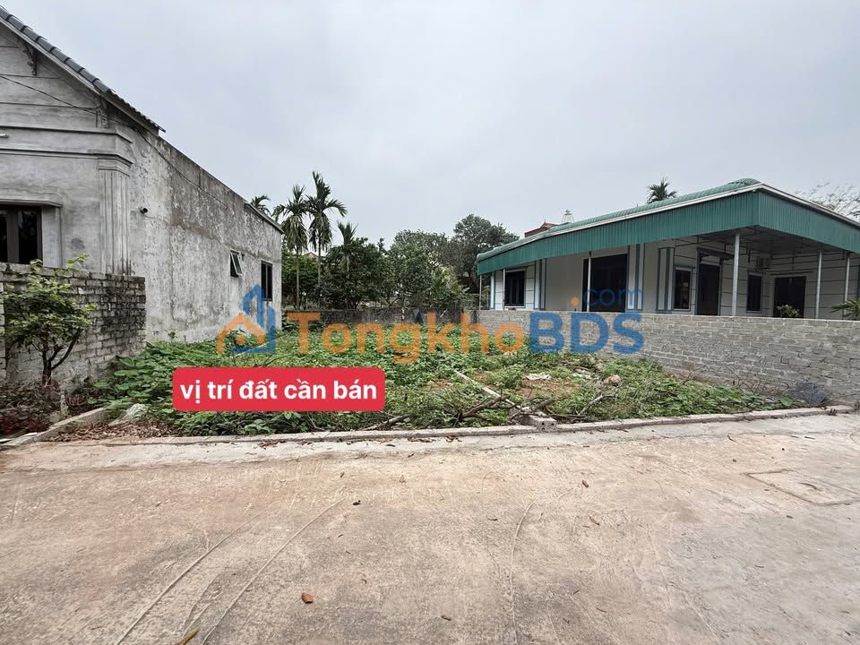 Đất nền Phụng Châu Hà Nội 80m² 1.2 tỷ - Đường to ô tô