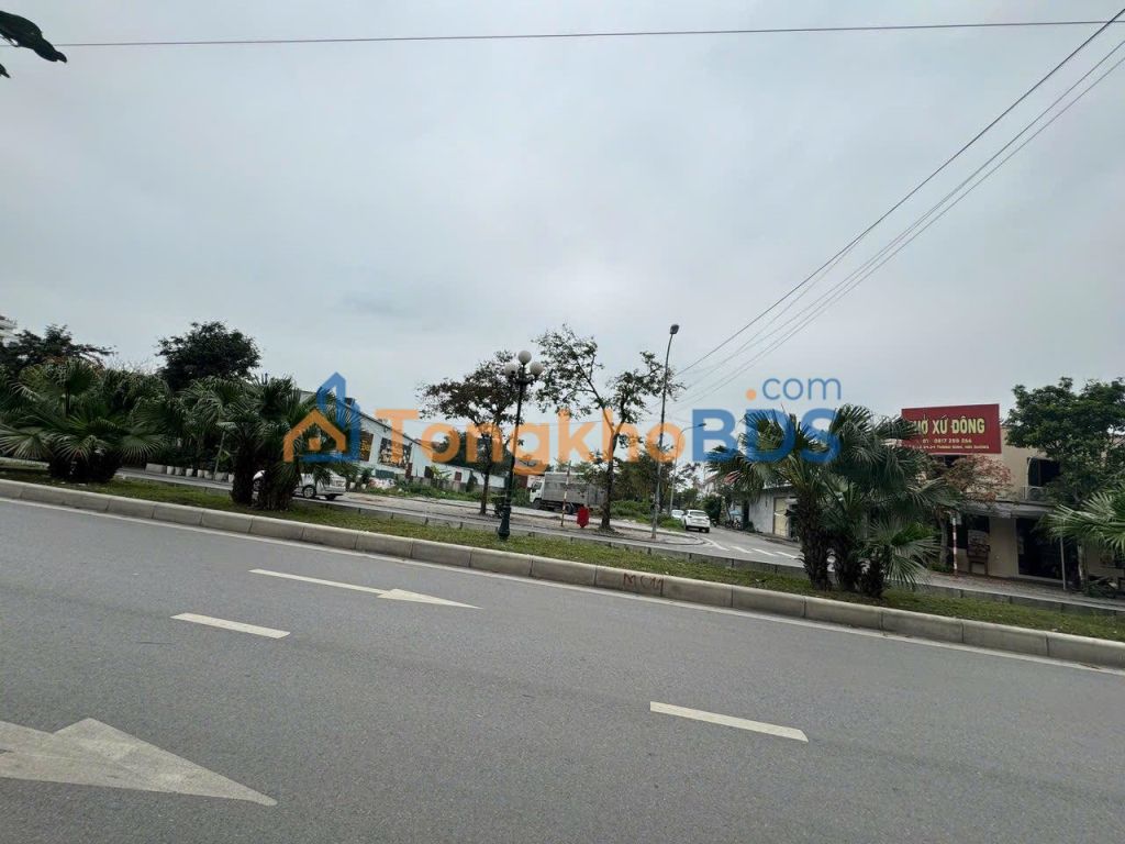 Đất nền Thanh Bình Hải Dương 900m² 54 tỷ - Sổ đỏ chính chủ