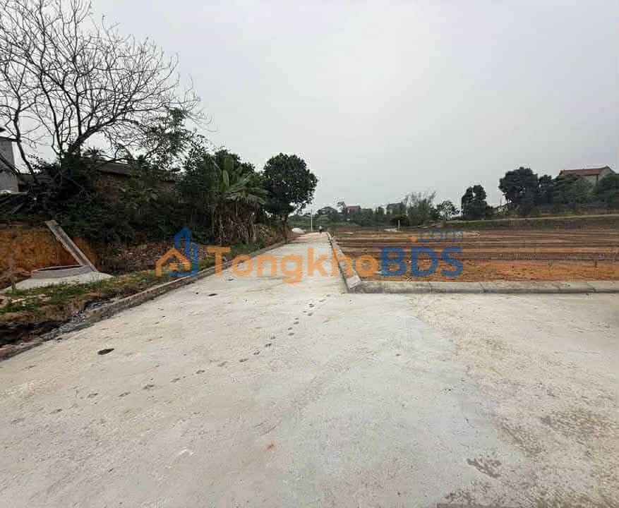 Đất nền Đô Tân Sóc Sơn 100m² 845 triệu - Sổ đỏ chính chủ