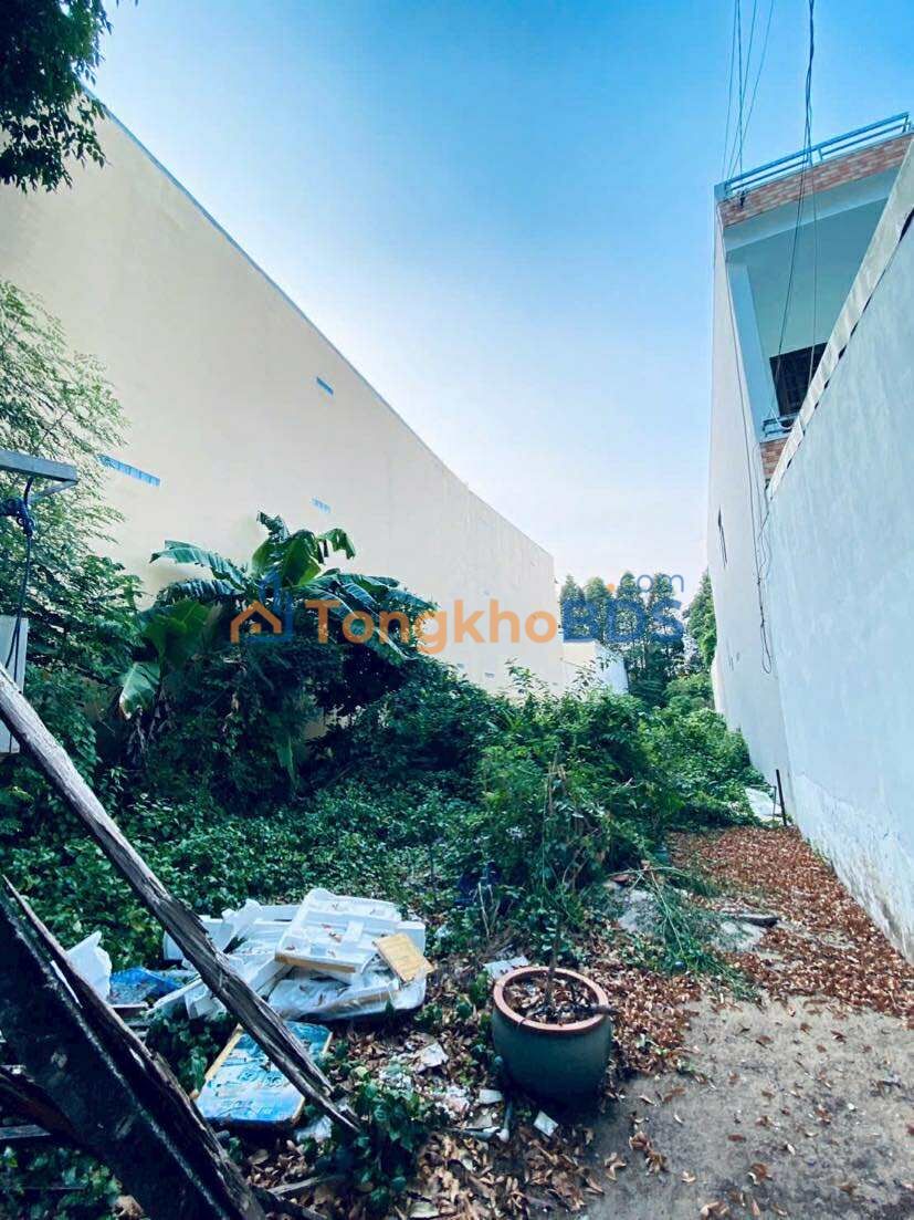 Đất thuê Nguyễn Đệ, Ninh Kiều 800m² 30 triệu - Đường ô tô